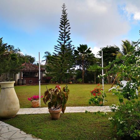 Bungalow Maelie La Trinité Zewnętrze zdjęcie