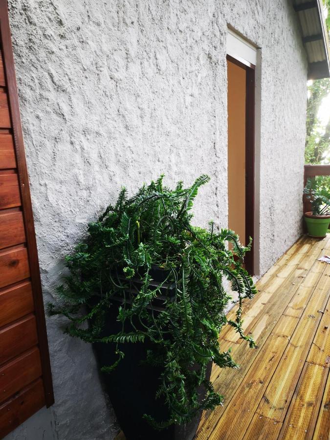 Bungalow Maelie La Trinité Zewnętrze zdjęcie